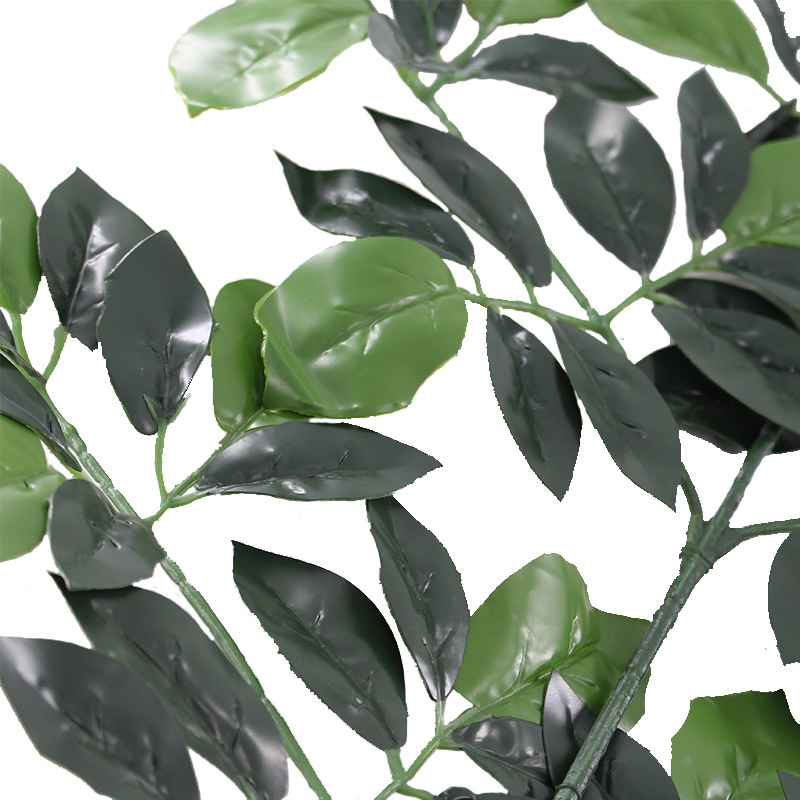 XRB-017五叉金钱叶95叶 (4).jpg