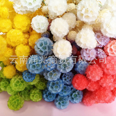 润兆花卉厂家批发云南干花永生风车果松虫果酒店会所装饰大束|ru
