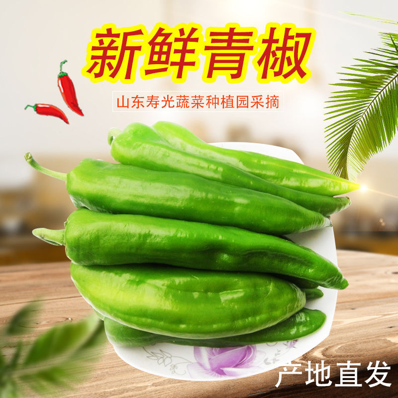 绿色蔬菜 寿光大棚绿尖椒 4斤包邮 厂家直销 新鲜采摘|ru
