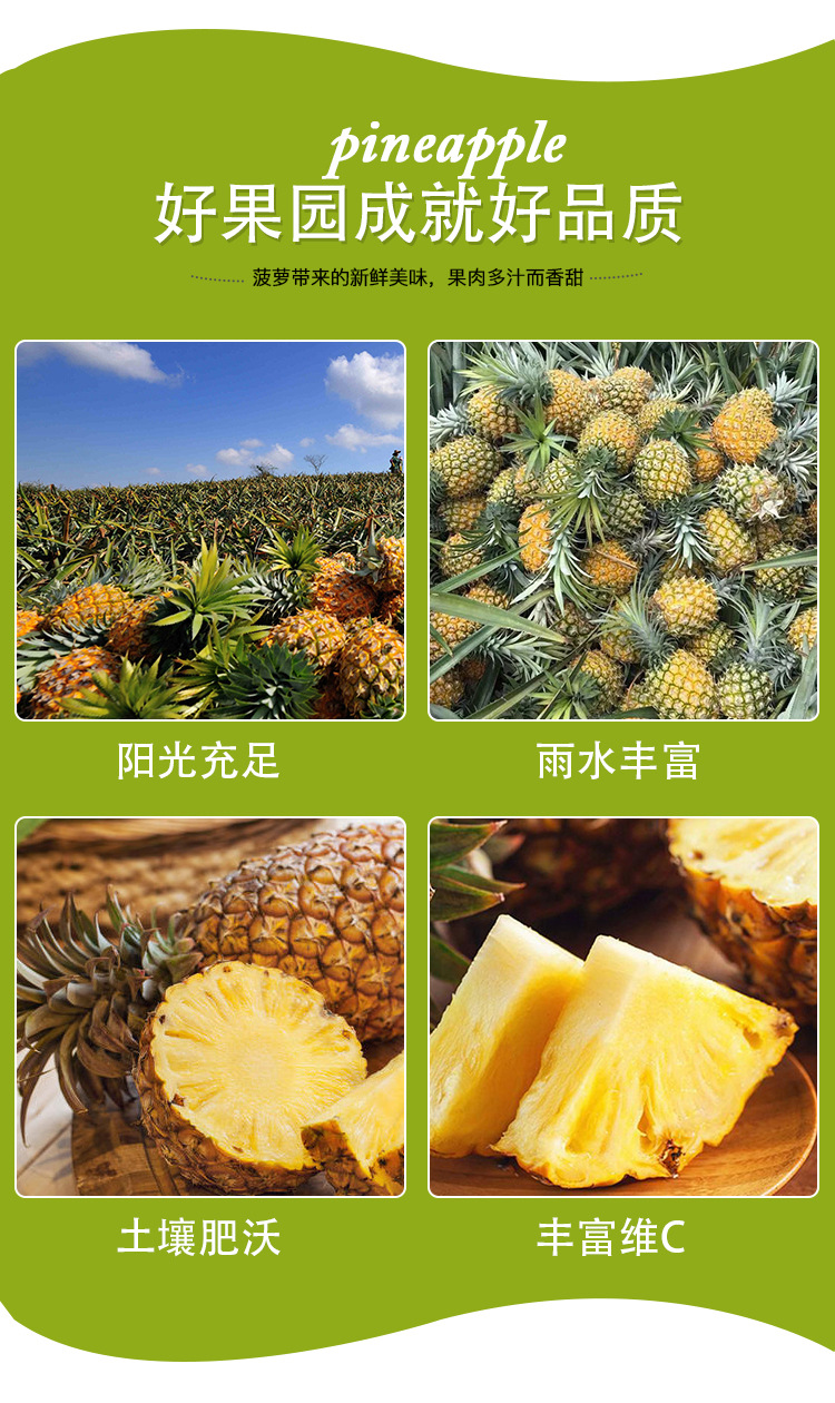 海南凤梨详情页_08.jpg