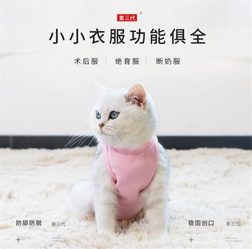 Factory direct supply of new pet cat clothing, cat postoperative clothing, cotton pet weaning clothing, cat sterilization clothing