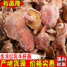 【裕菌隆】 红乳牛肝 野生菌冻品 生冻红乳牛肝菌 火锅牛肝菌批发