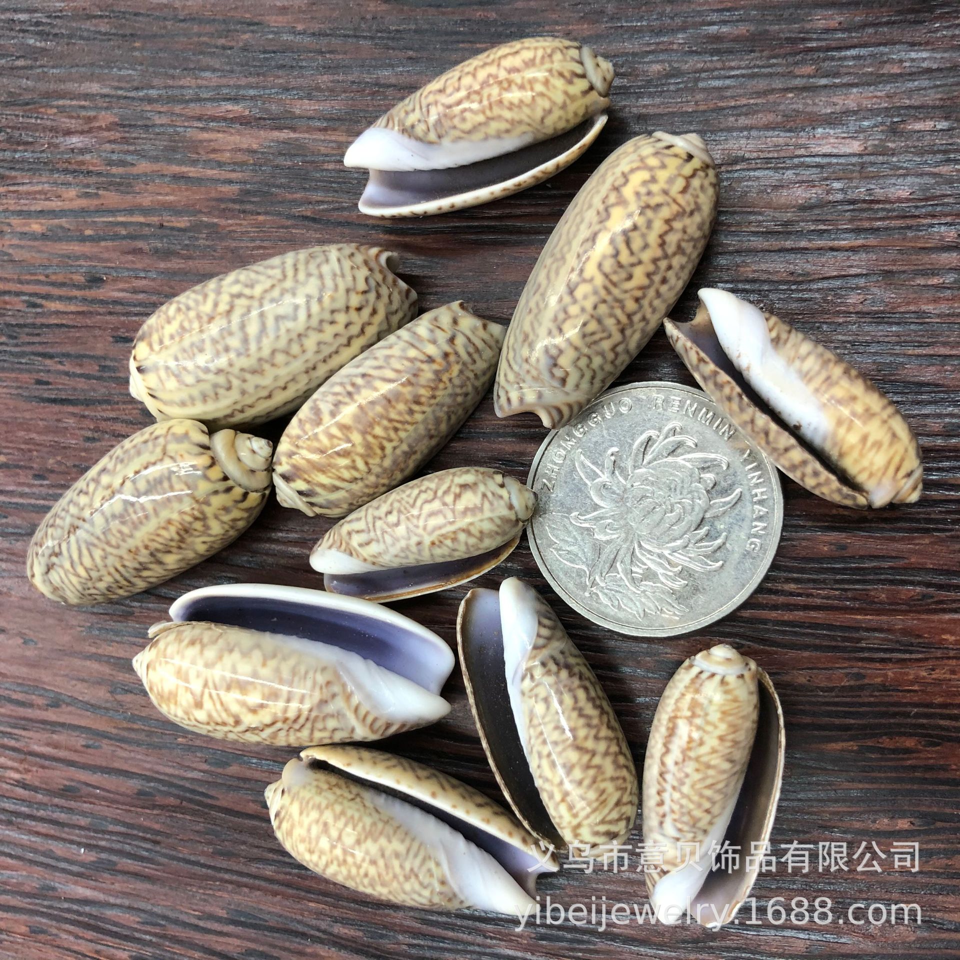 AD947FF6DF239C4C315C5990842EB8