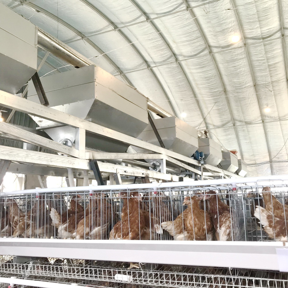 安徽厂家自动养鸡场喂料机 上料机 料仓料塔喂料车 轨道龙门给料