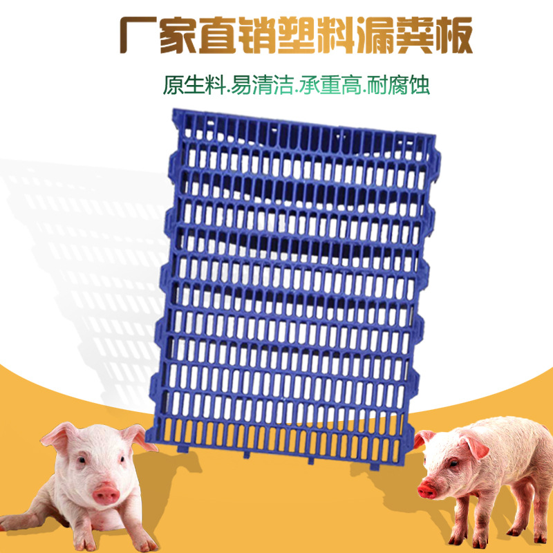 厂家直销塑料漏粪板 仔猪漏粪板 塑料保育床漏粪板 养殖养猪设备|ms