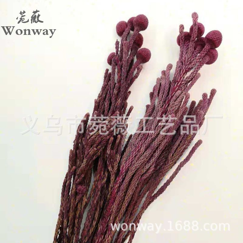 9898751272_1583333284