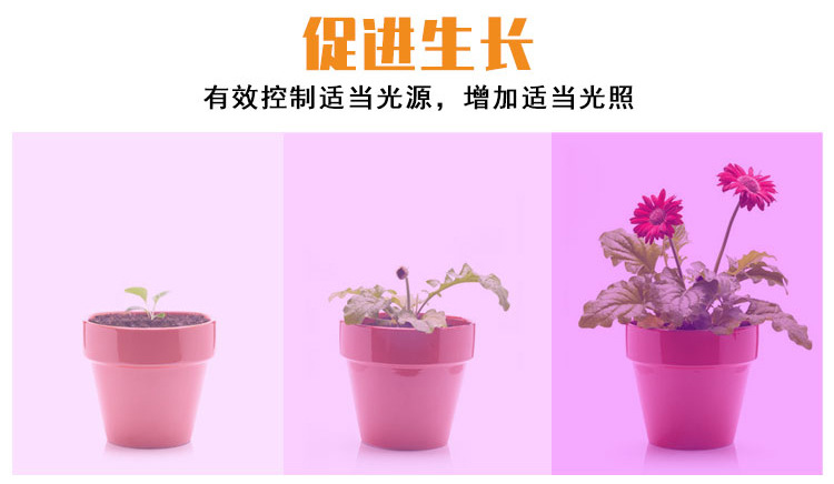 全光谱-植物灯-(阿里巴巴）（红蓝光）详情页_05.jpg