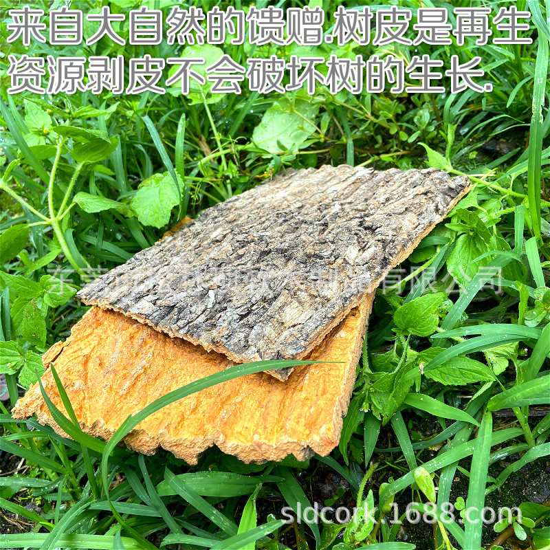 IMG_5633_meitu_17_meitu_10