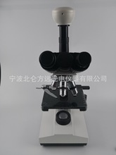 电子显微镜数码生物显微镜XSZ-107SMCCD 配电子目镜/显示屏/CCD