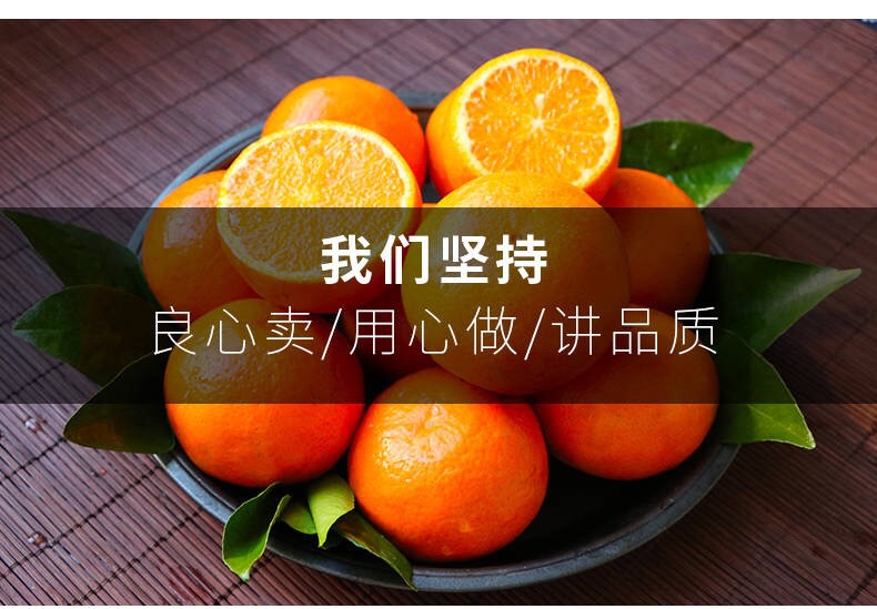 12 - 副本.jpg