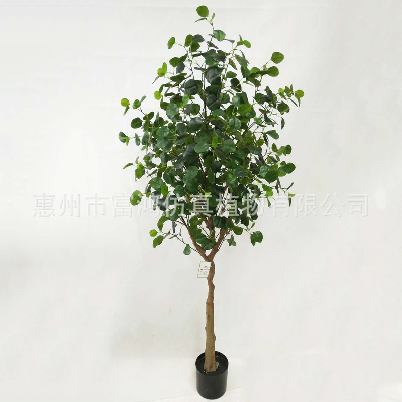 Money tree simulation green plant potted plant decoration feel leaf eucalyptus money leaf tree simulation plant manufacturers Money tree simulation green plant potted plant decoration feel leaf eucalyptus money leaf tree simulation plant manufacturers
