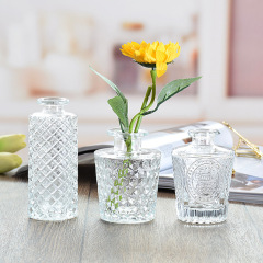Cross-border Amazon small vase glass transparent Instagram style fresh flowers vase creative relief mini Nordic decoration