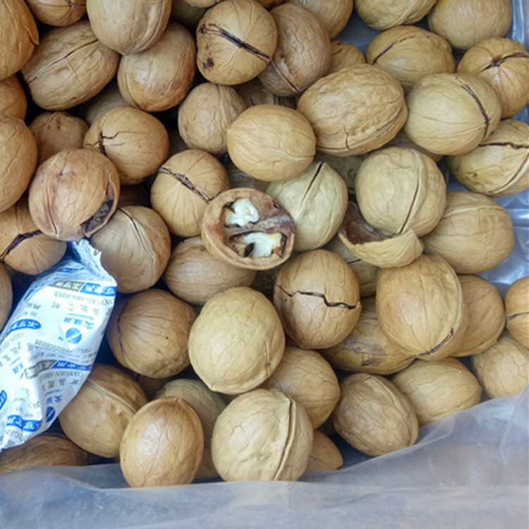 IMG20201124141439_副本