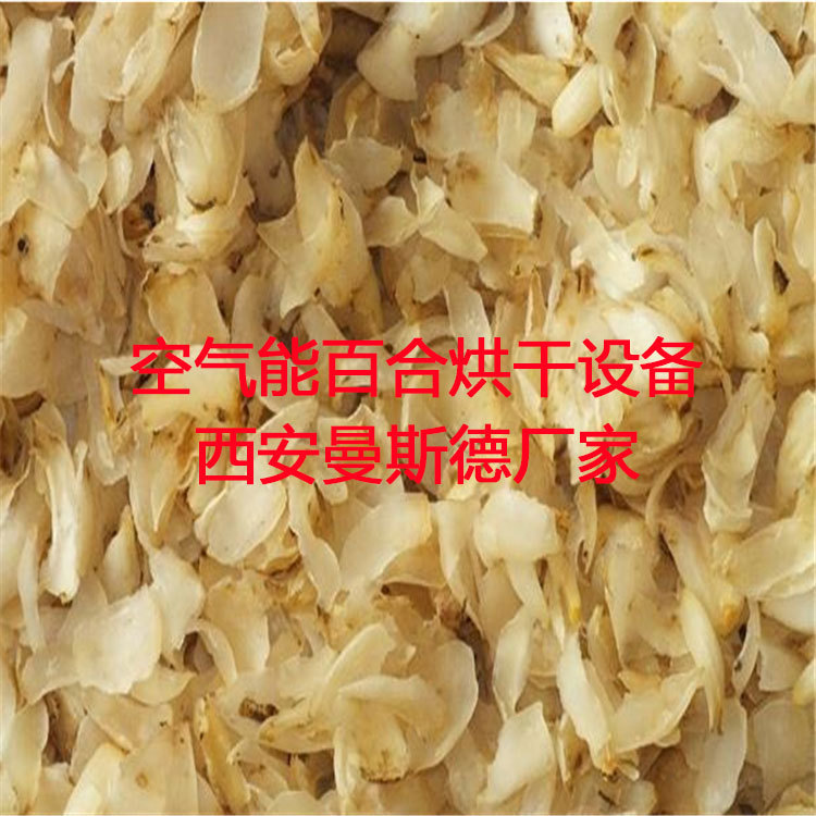 空气能金丝皇菊烘干机 曼斯德烘干设备作业产量高