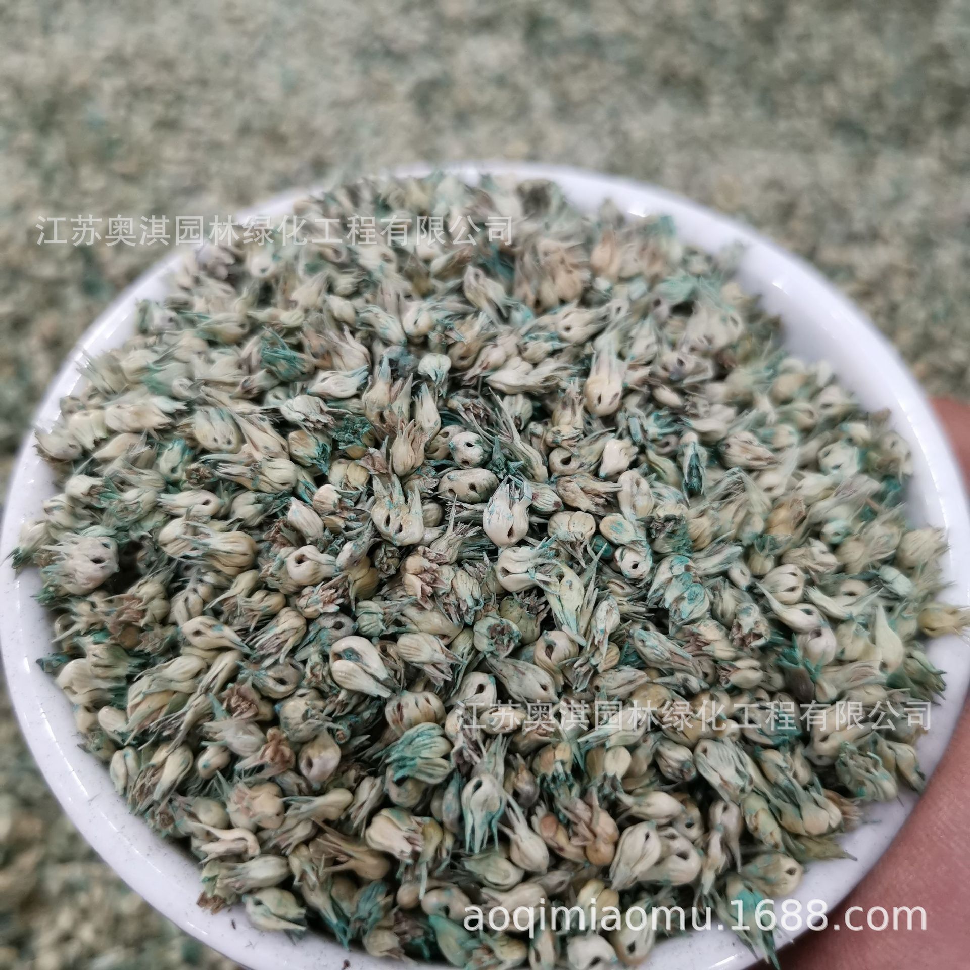 Warm-season Lawn seed Buffalograss seeds Buffalo Grass Seed Trample regenerate ability Goods to payment