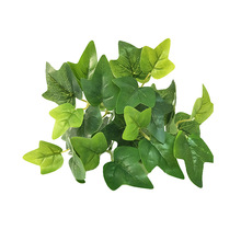 ����7�泣�G�ع��~���~��С����������~ֲ�����b����l�辰