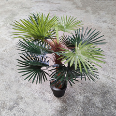 廠家直銷仿真小葵樹 綠植擺放盆栽膠葉葵樹 小葉扇葵樹軟裝盆景