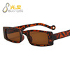 Brand sunglasses hip-hop style, metal trend hinge, glasses, 2021 collection, European style