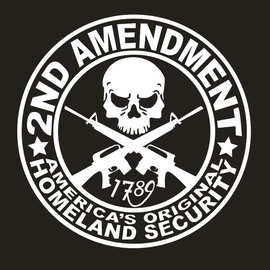 外贸骷髅2ND AMENDMENT GUN汽车贴军事枪械管制修正法案贴纸图片