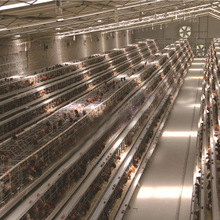 工厂生产销售育雏鸡笼蛋鸡笼 三层四层可叠式鸡笼调节网不跑鸡