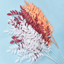 ~~cGֲb쾰bϻl