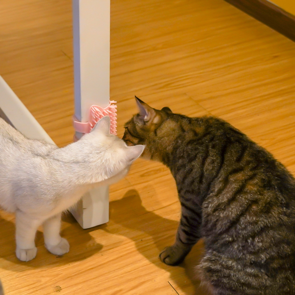 猫咪硅胶蹭痒板 (18).jpg