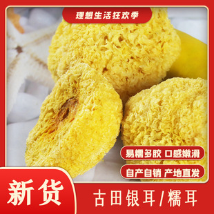 500 г уродливого уха fujian gutian tremella белый гриб сухой клейкий ухо урод