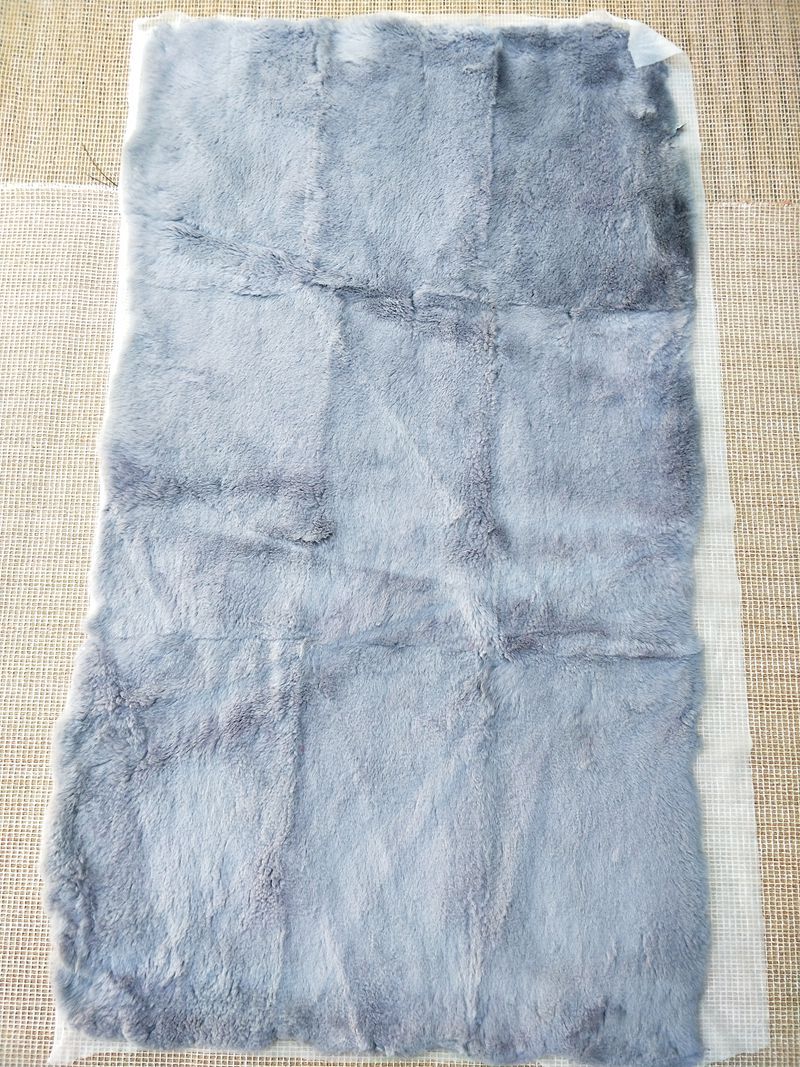 IMG20200514094006_副本.jpg