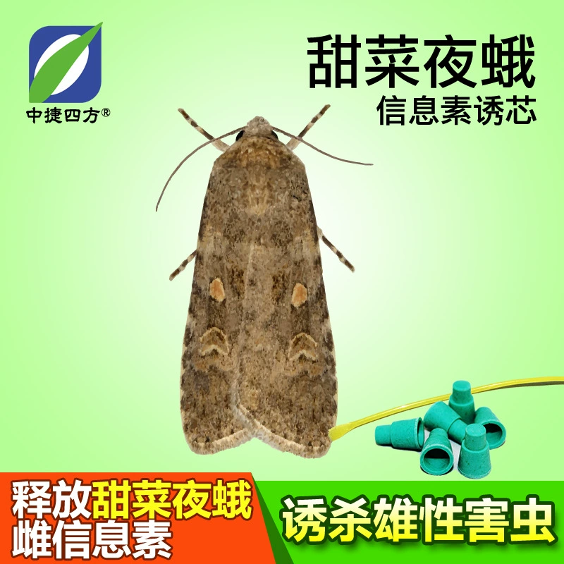 Агент Zhongjie, индуцирующий феромонный сердечник из совки, сельскохозяйственный агент для удаления насекомых, индуцирующий агент из ПВХ с одним корнем