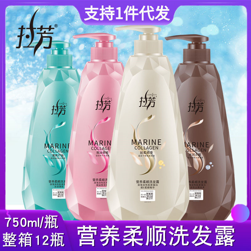Shampoo for camping, perfumed nutritious conditioner for men and women, dandruff removal, oil sheen control