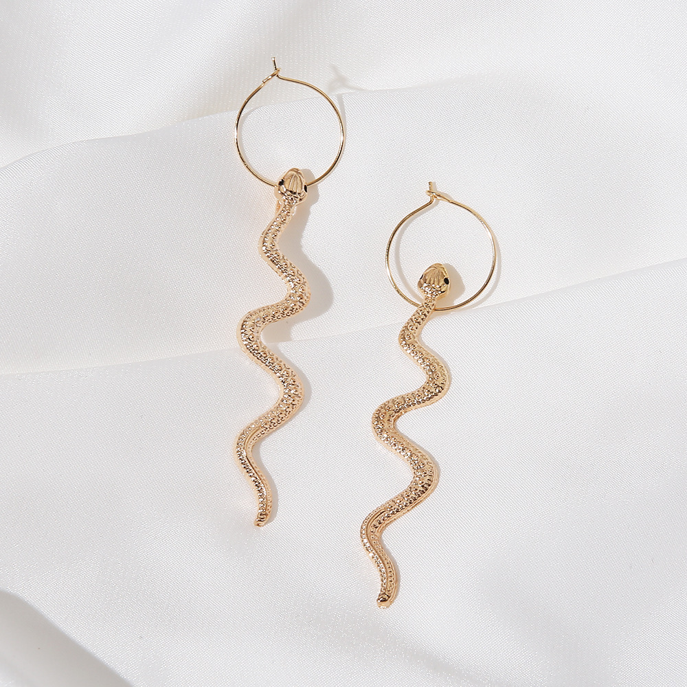 Retro Snake-shaped Long Earrings Wholesale Nihaojewelry display picture 20