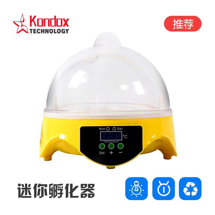 孵化器 孵蛋器 小鸡孵化器 小型孵化器 7枚孵化器 迷你孵化器|ms