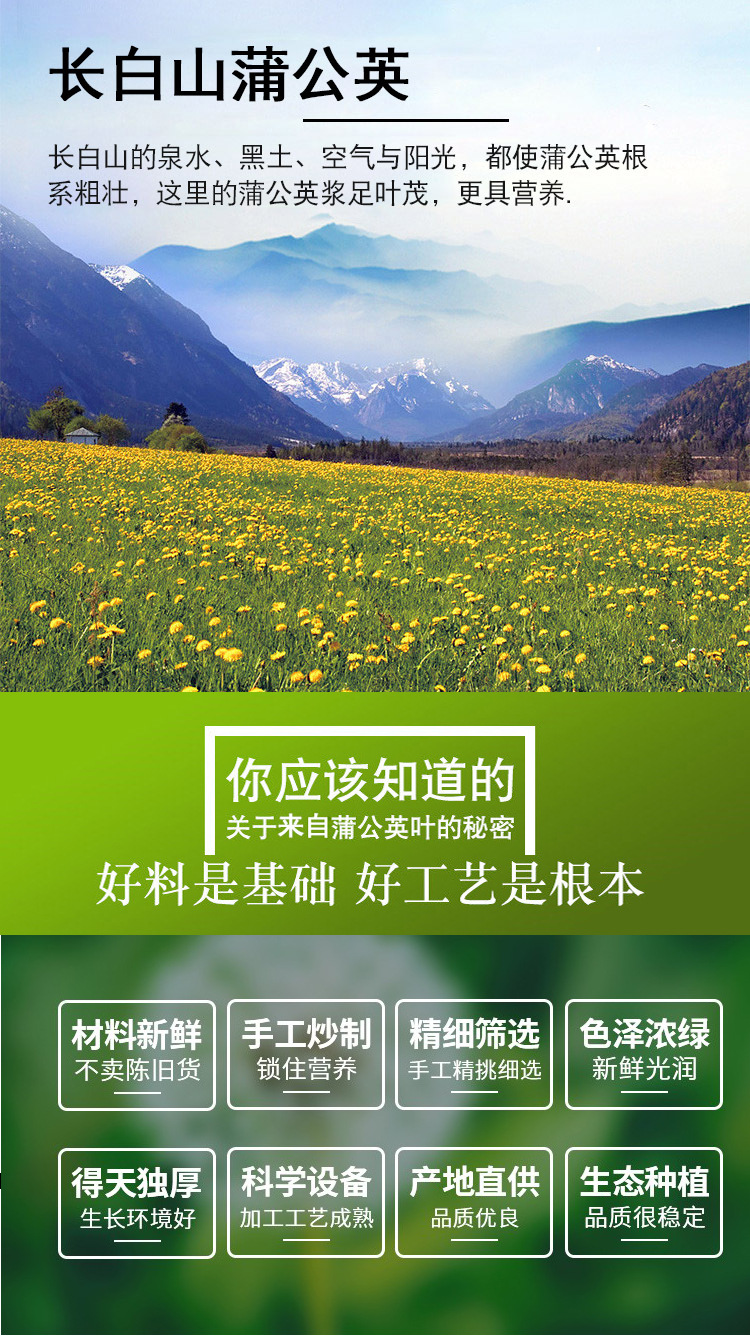 Dandelion Leaf Tea (Taraxacum officinale) — Dried Pu Gong Ying Herbal Tea, 500g Loose Leaf overview