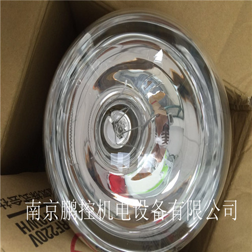 日本岩崎IWASAK灯泡RF220V270WH 220V 270W 300W形