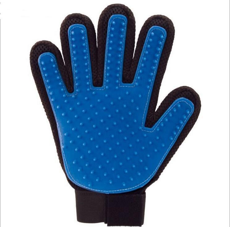 3383129493_484843333