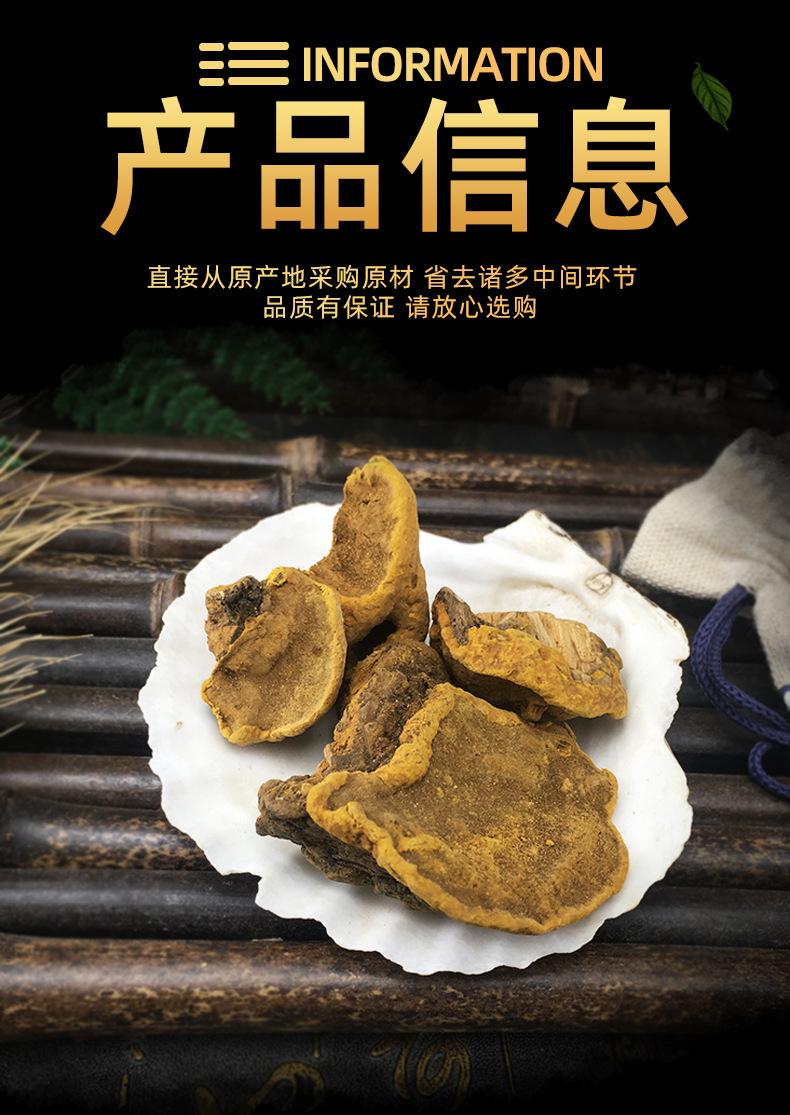 Sang Huang Mulberry Yellow Fungus Loose Dried Phellinus for Traditional Herbal Decoction 500g specifications