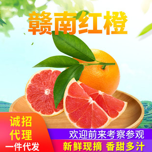 Fruit Gannan Red Orange Fround теперь выбирает 10 фунтов сладких апельсиновых апельсинов.