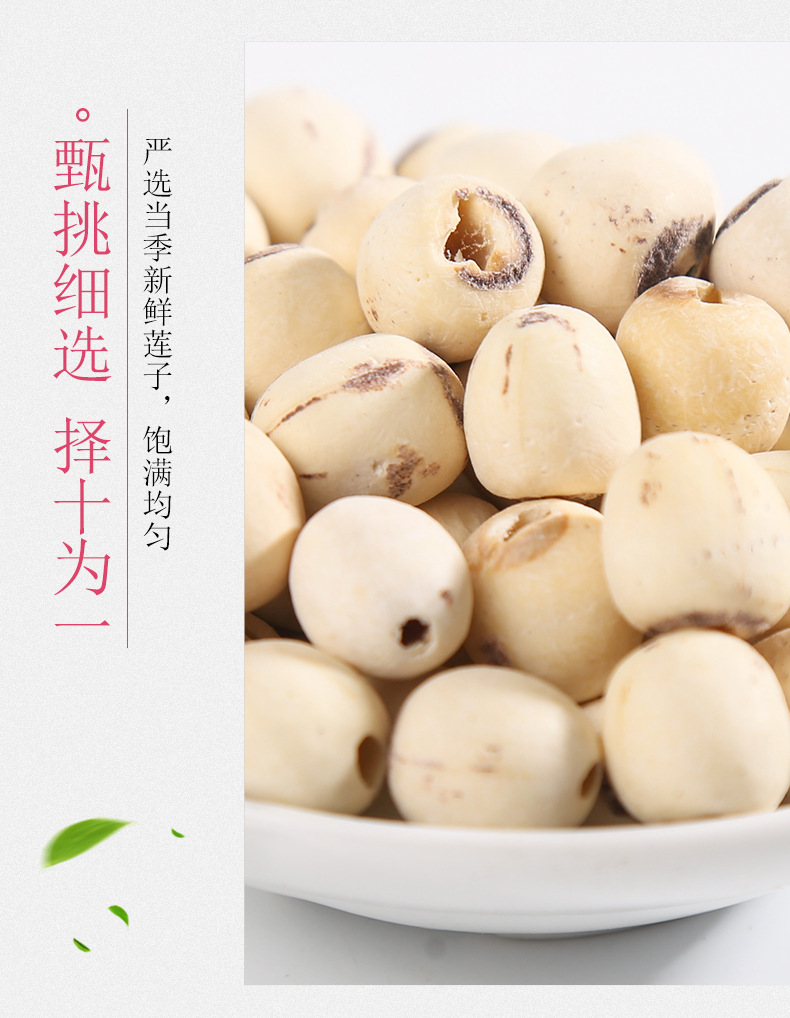 White Lotus Seeds Bai Lian Zi 500g Coreless Dried Nelumbo nucifera Seeds for Soup Congee and Herbal Cooking in use
