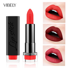 VIBELY Best-selling Export Model Matt Waterproof Long-lasting Non-staining 29-color Lipstick and Lip Gloss Wish AliExpress