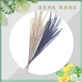 背景植物新家拍摄插枝