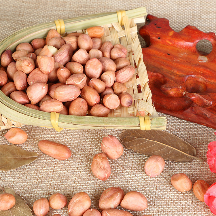 Peanuts Original shelling Henan Xiaobaisha Redskins peanuts Squeezable oil fried goods Coarse Cereals 25 Jin Jin
