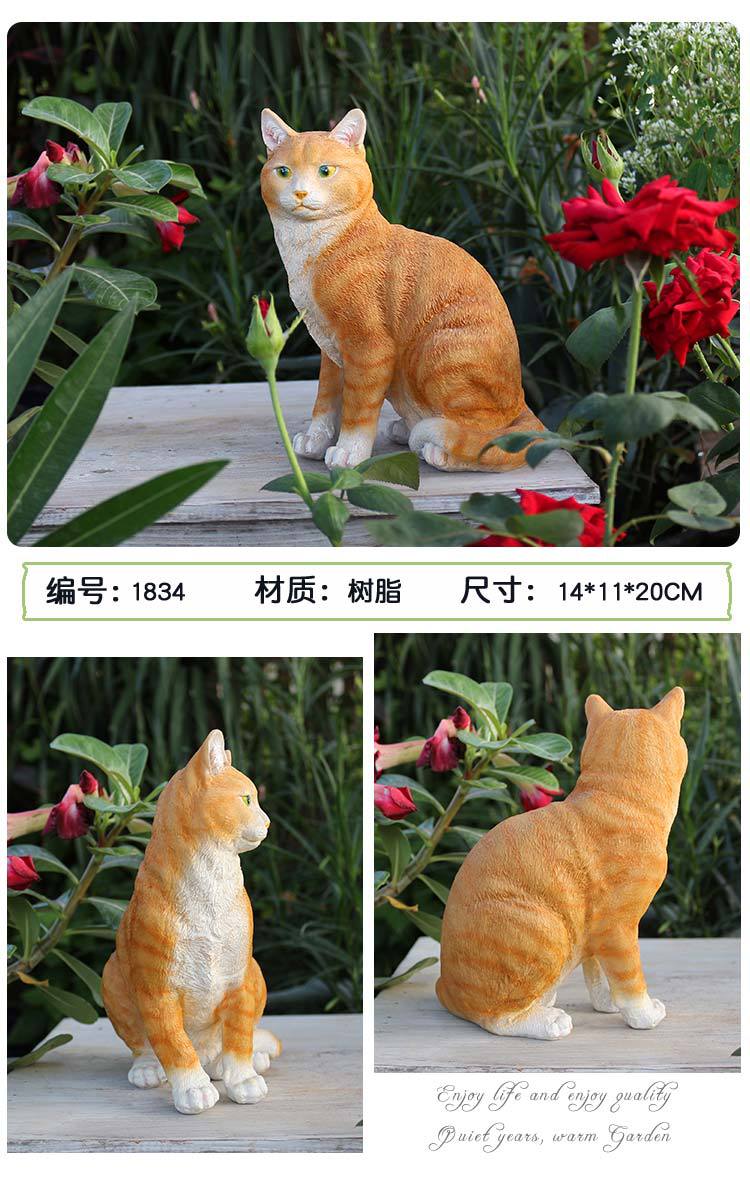猫咪_14.jpg