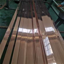 4x40鍍銅扁鋼 10X100鍍銅鋼板 接地測試端子板
