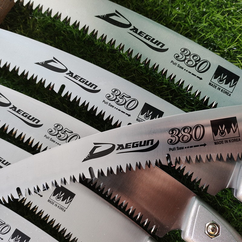 IMG_20191227_124529_副本