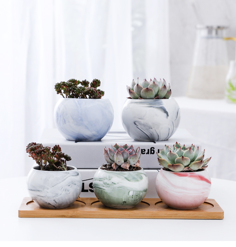 多肉花盆_01.jpg
