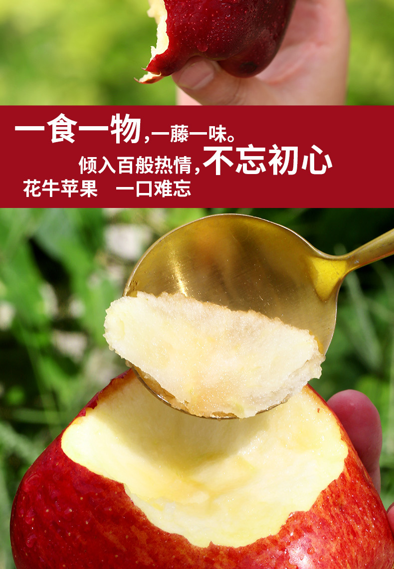 裁切_06