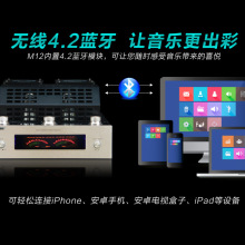 M12 蓝牙发烧HIFI胆机大功率真空管电子管功放桌面