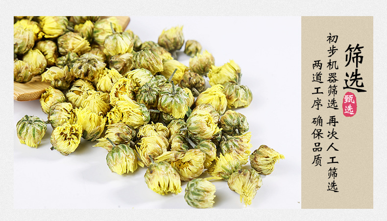 Tai Ju Chrysanthemum Buds 胎菊 Wholesale Herbal Tea First Harvest Flower Buds 500g Loose Dried Chrysanthemum Tea in use