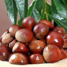 ���]�����u���������r�Fժ���������������l3/5/10���߲˸�؛���l