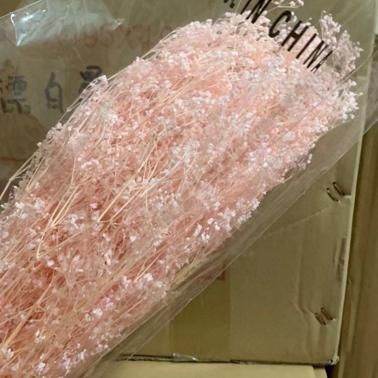 微信图片_20200128224635